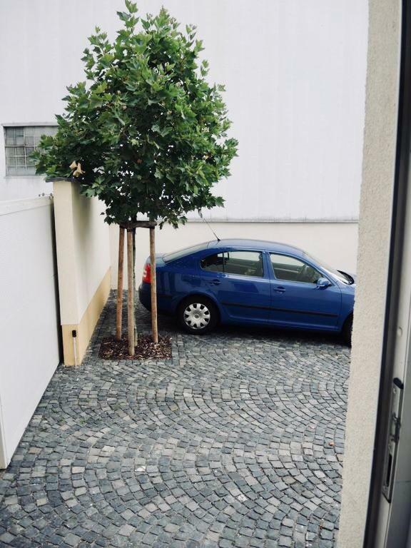 Modernes Apartment - Neustadt/Weinstrasse Stadt Neustadt an der Weinstraße エクステリア 写真