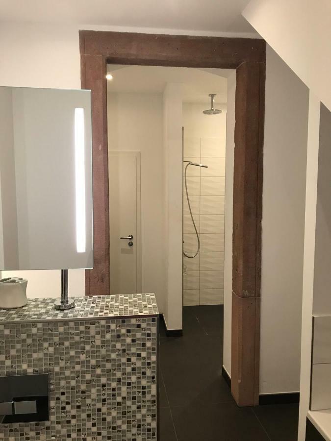 Modernes Apartment - Neustadt/Weinstrasse Stadt Neustadt an der Weinstraße エクステリア 写真